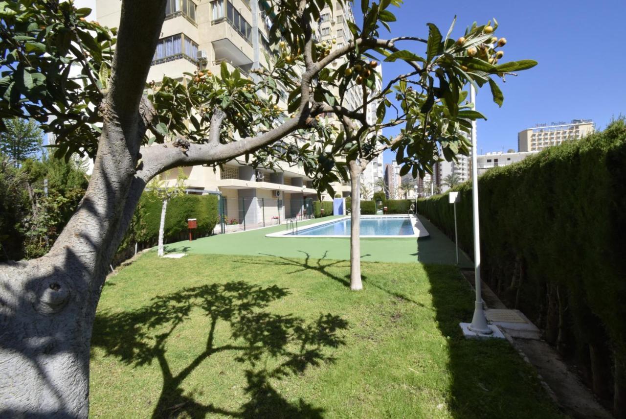 Mariscal 4 - Fincas Arena Benidorm Exteriör bild